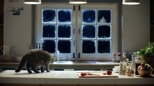 Sheba Cat Canned Food/Wet Food/Pet Food 85g Makanan Kucing Basah