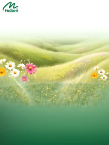 [MỚI] Tã Bỉm Dán Quần Momo Diamond Nature Bản Cải Tiến Mới  Đủ Size NB - 4XL Cho Bé