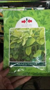 Benih Bibit Bayam MAESTRO 50 Gram Bibit Sayuran Unggul Cap Panah Merah