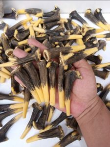 pipa cangklong tanrus replika mini