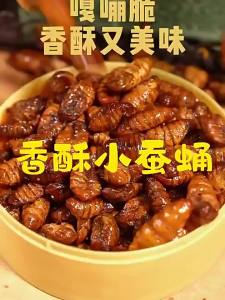 SONGNIJIA | Ready to Eat Non-Fried Edible Silkworm Spicy and Five Spice Flavors