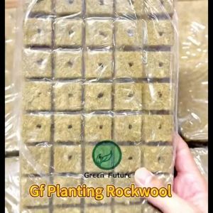 Rockwool Hydroponic Aquaponic Seed Germination Rock Wool Semai Benih Hidroponik Akuaponik 石棉 种植 无土栽培 无土 岩棉 种植块 seedling