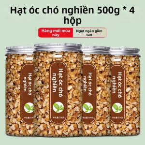 Mảnh Hạch Walnut Khô Mới Cho Nấu Ăn