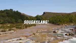 Sougayilang | Máy Câu Cá Sougayilang Spinning Reel 5.2:1 Tỷ Lệ Truyền Động 11BB Kim Loại Dòng 1000-6000 Máy Câu Cá Dùng Cho Nước Ngọt Biển Đá Bãi Biển Sông