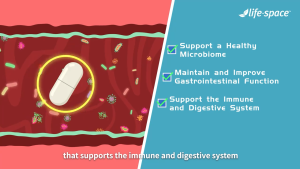 [HOT SELL] Life Space Adult Probiotic 15 Strains Digestive Immune 32B CFU (60 Caps)