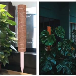 Trụ giá thể xơ dừa.Chuyên dùng cho cây cảnh mini cây thân leo.Dài 43 cm.Tăng chiều cao bằng cách nối các trụ lại với nhau.