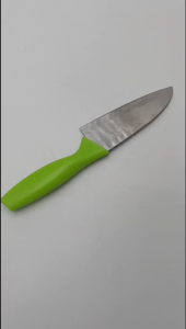 Dao Gọt Hoa Quả Cán Nhựa Dài 20 cm Chất Lượng Cao