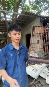 Khung lồng chim chào mào lồng chim chào mào đục lưỡng long chất liệu gỗ mun cao cấp