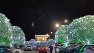 Lampu LED Natal Tumbler Light L098: Dekorasi Natal dan Cafe