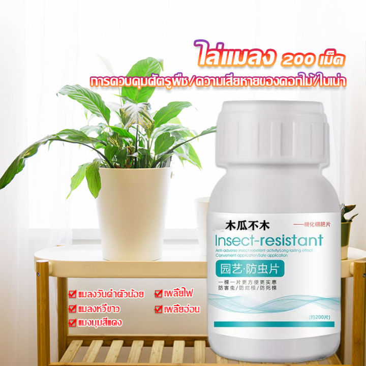 Pattaya เม็ดกำจัดเพลี้ย ออกฤทธิ์นาน 120 วัน ปลอดภัยต่อพืช