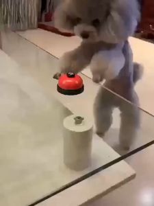 Paw Hero Call Bell Pet Training Bell Ringing Bar Counter Desk Desk Bell Ring (No Specific Color)