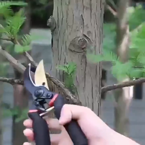 Garden Pruning Shears High Carbon Steel Sharp & Durable Tree Trimmer For Precision Gardening Premium Plant Scissors Stainless Steel