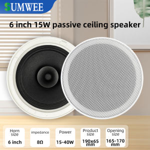 6 Inch 8 Ohm Ceiling Speaker: High Fidelity Sound Quality for Your Home
