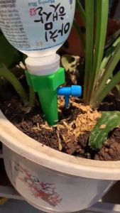 Bộ 10 đầu tưới nhỏ giọt tự động gắn chai nước.