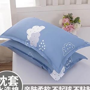 JIFANPAUL | Cotton Pillowcase Set 48cmx74cm