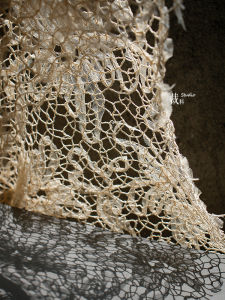 Original Beige Hollow Embroidery Sheer Fabric