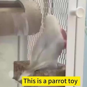 Interactive Parrot Toy Bird Cage Toy for Parrots Rotating Treat Dispenser for Mental Stimulation and Entertainment