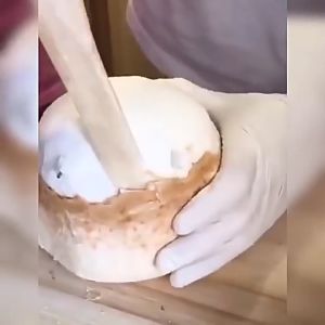 Easy to operate Coconut Meat Extractor Remover Coconut Egg Artifact PP Coconut Tools Fruit Tools