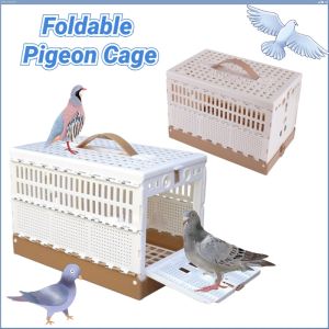Foldable Pigeon Bird Cage Training Box Plastic Cage LARGE Pigeon Foldable Training Box Tbox Cage