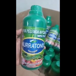 Obat Pengisian Bulir Padi - Obat Bulir Buah Padi PUPUK NURRATONIX 500 ML Obat Padi Obat Buah Padi - Obat Penambah Bobot Padi - Obat Buah Padi Ber Bobot - Obat Penambah Berat Padi - Obat Semprot Padi yang Bagus Ampuh