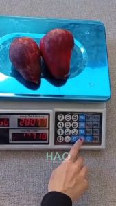 Timbangan Buah Digital 40KG/ Digital Computing Scale 40kg Double Display