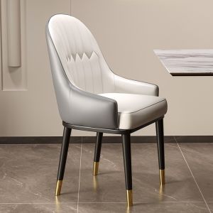 MOLORE | Luxurious High-End Home Dining Chair Modern Minimalist Backrest