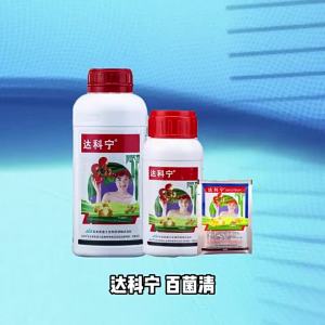 Dakine.  40% Clorothalonil   Bệnh nấm mốc bụi bệnh nấm mốc bột bệnh nấm mốc lá bệnh đốm lá muộn thuốc trừ sâu thuốc nấm.