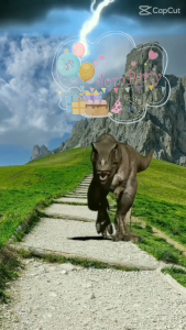 JomParty Kids Dinosaur Theme Birthday Celebration Party Accessories Set Parti Dinosaur Aksesori Hari Jadi Kanak-Kanak