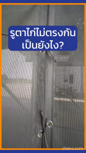 ผ้าใบกันฝุ่น ผ้าใบคลุมก่อสร้าง mesh sheet หนา270แกรม บรรจุ 1ผืน [ออกใบกำกับภาษีได้]