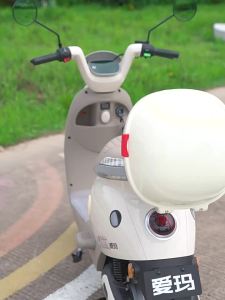 WANSLO | Universal E-bike Trunk