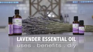 Plant Therapy Lavender Organic Essential Oil