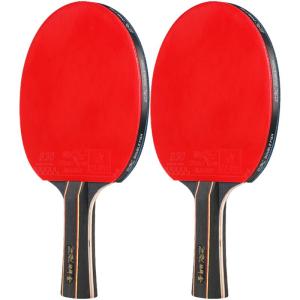 Double Fish | Professional High Elasticity Beginners Children Students Table Tennis Racket