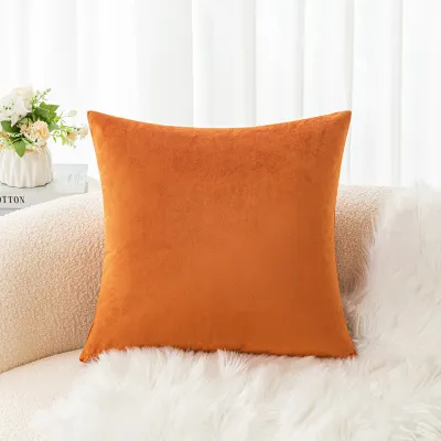 Velvet Sofa Cushion Lumbar Pillow