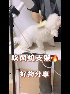 Hands-free Pet Hair Drying Stand
