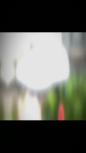 Mũ - nón bảo hiểm beret cao cấp giá rẻ nhất dành cho cả nam và nữ . beret