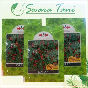 BISA BAYAR DI TEMPAT - 20 Biji / Benih / bibit ( CABE BARA / CABAI RAWIT BARA UNGGUL ) Mudah tumbuh - Seed buah - bibit sayur - Bibit buah CABE BARA - TOKO CANTIK 999
