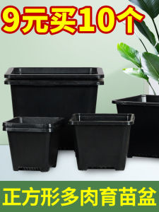 Small Black Square Korean Style For Home Succulent Seedling Cutting Square Basin Large White Square Plastic Jingtian Flower Pot Planting Pot