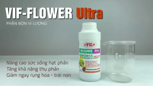 VIF-FLOWER Ultra - Phân bón Boron 15% chai 500ml