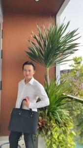 Cặp da PU doanh nhân Vip 07 lịch lãm dạo phố tính năng đựng laptop 15 inch tiện lợi [SẢN PHẤM MỚI]