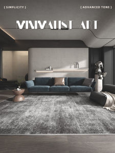 Nordic Simple Gray Luxury Carpet