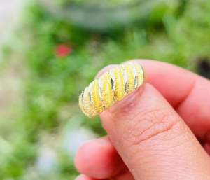 แหวนทองเหลืองแท้ ตัดลายเหมือนลายทอง สามารถใส่ติดตัวได้เป็นประจำ ลวดลายสวยงามเป็นที่น่าประทับใจสำหรับผู้สวมใส่