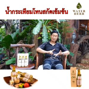 น้ำกระเทียมโทน สกัดเข้มข้น Waterherb กระเทียมโทน ขิง น้ำผึ้ง มะนาว แอปเปิ้ลไซเดอร์ ขนาด 300ml./ ชุด 4ขวด