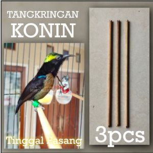tangkringan Kolibri ninja kayu polos plug n play