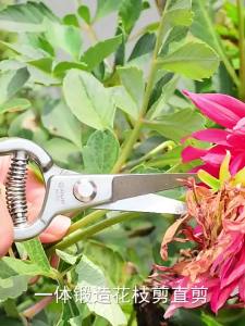 Garden Scissors Manual Pruning SK5 Suitable for Pruning Bonsai Fruit Tree Branches Gardening Tools 8/10 Inches