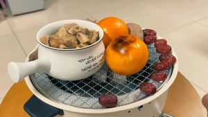 【Malaysia Spot Sale】Portable Charcoal Barbecue Grill Multifunctional Household Camping Grill Stove