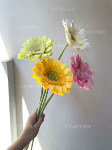 Hoa Cúc Châu Phi Giả Cao 67cm Trang Trí Nhà Phong Cách Trung Hoa Mới Hoa Bàn Trang Trí Phòng Mẫu Hoa Nhựa