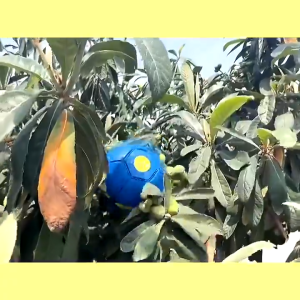 Magic UFO Ball Three Lights for Kids - 10cm Diameter Soft Rubber Material Fast Recovery Outdoor Sport Toy for Boys & Girls Over 3 Years Old