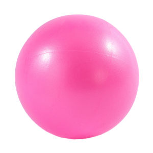 Yoga Pilates Pelvic Floor Training Fitness Ball 25cm