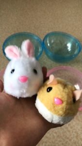 เล่นแมว ไล่ล่าของเล่น ของเล่นสัตว์เลี้ยง ย้ายของเล่น แมวหนูแฮมสเตอร์ ไฟฟ้าอเนกประสงค์