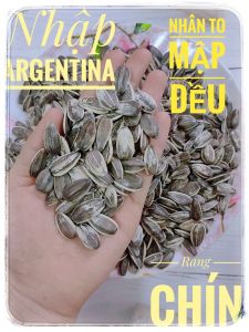 Cho Người- Hướng dương rang chín- Hàng nhập Khẩu  (500gr)